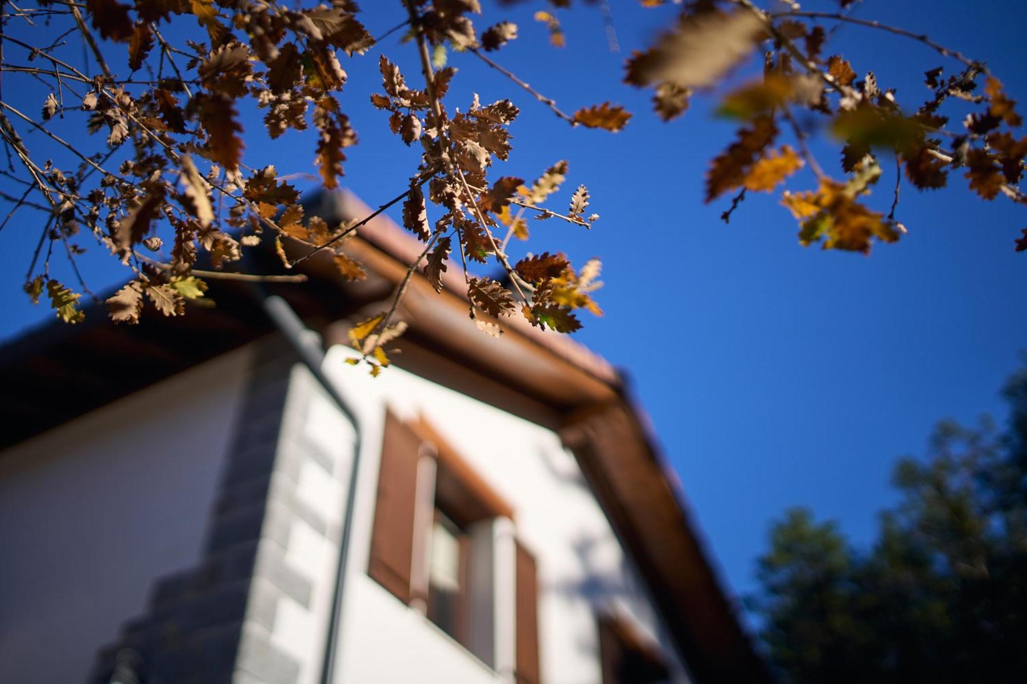 Arpetxea Casa Rural Roncal Εξωτερικό φωτογραφία