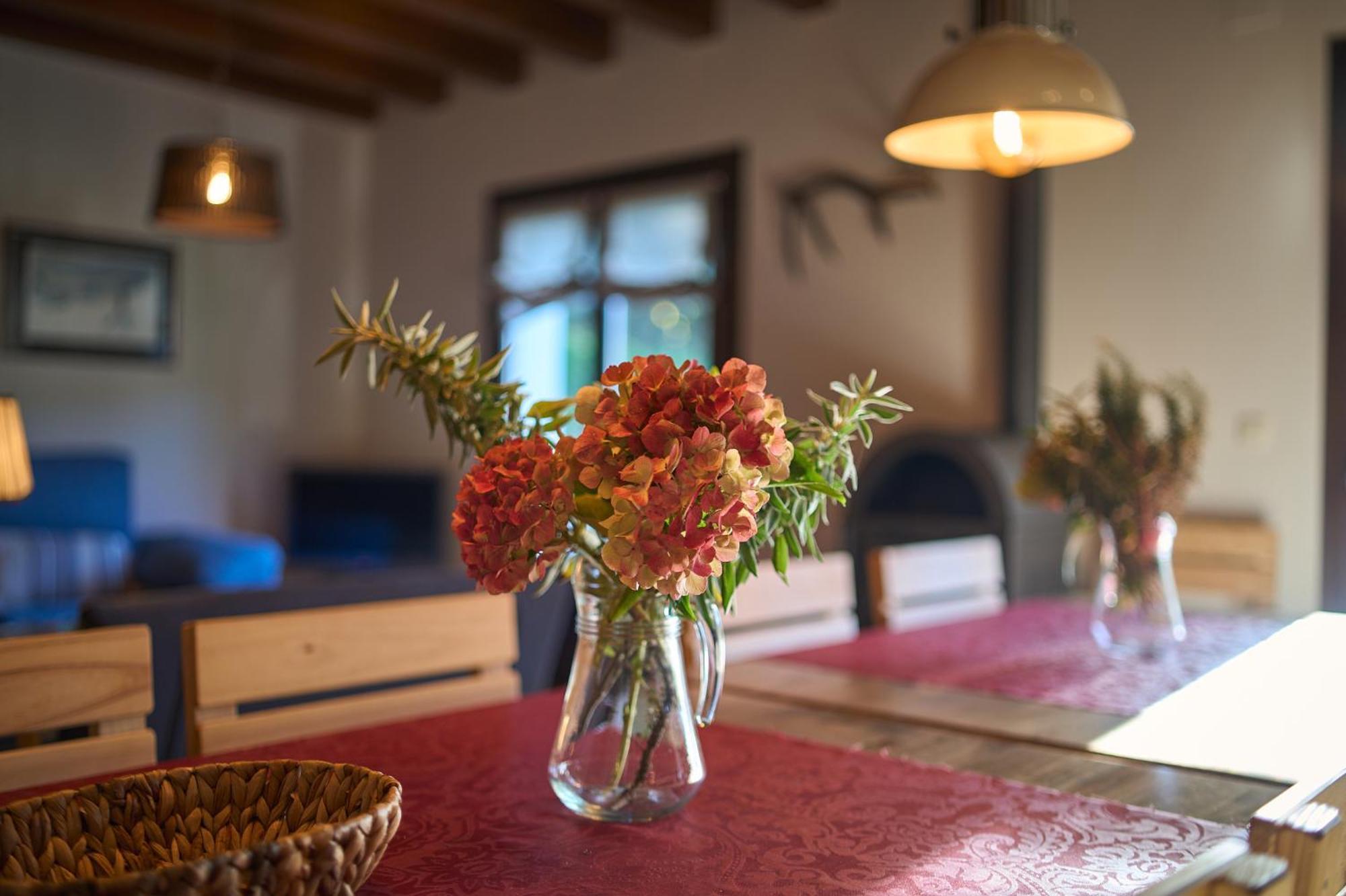 Arpetxea Casa Rural Roncal Εξωτερικό φωτογραφία